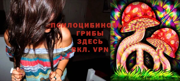 твердый Лабытнанги