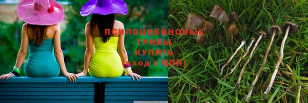 твердый Лабытнанги