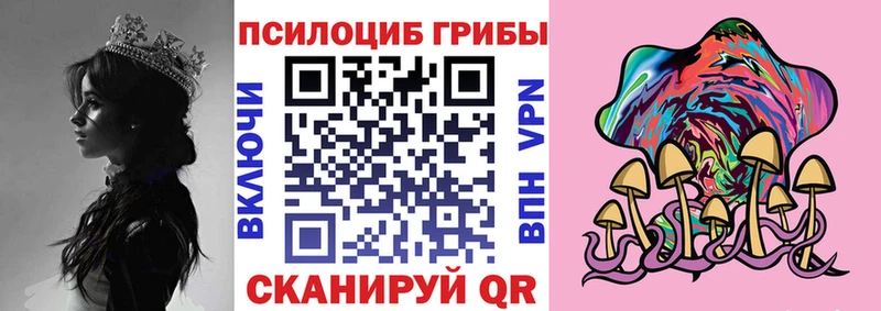 Псилоцибиновые грибы прущие грибы  что такое   Серафимович 